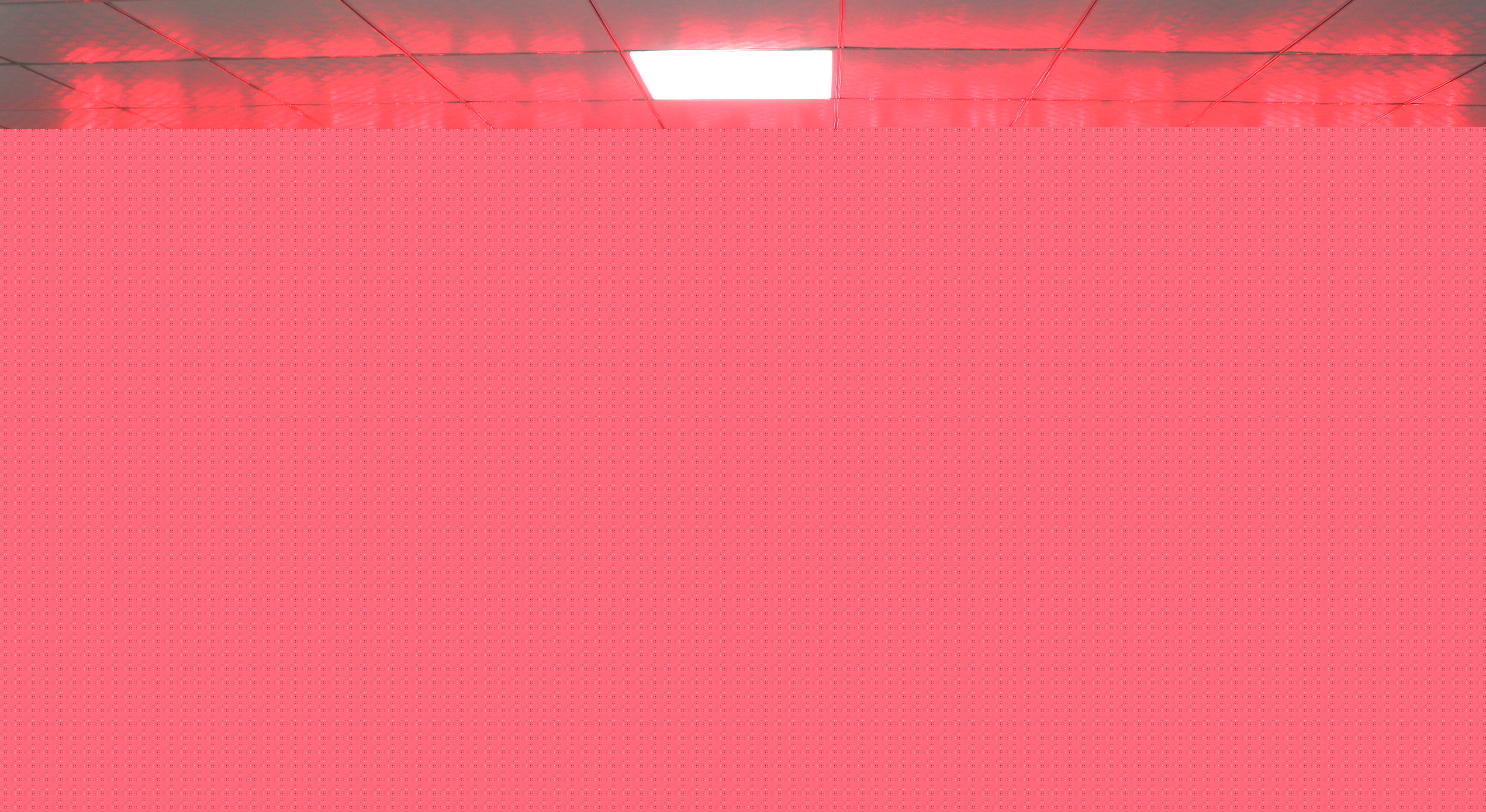 IMG_6981_副本.JPG IMG_6981_副本.JPG